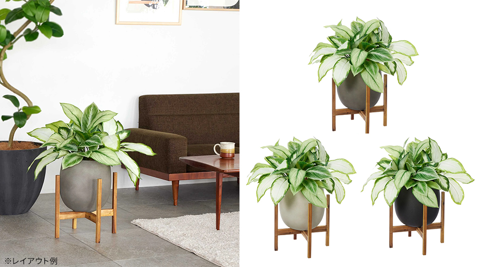 ディフェンバキア エッグポット ウッドスタンド付 高さ74cm フェイク