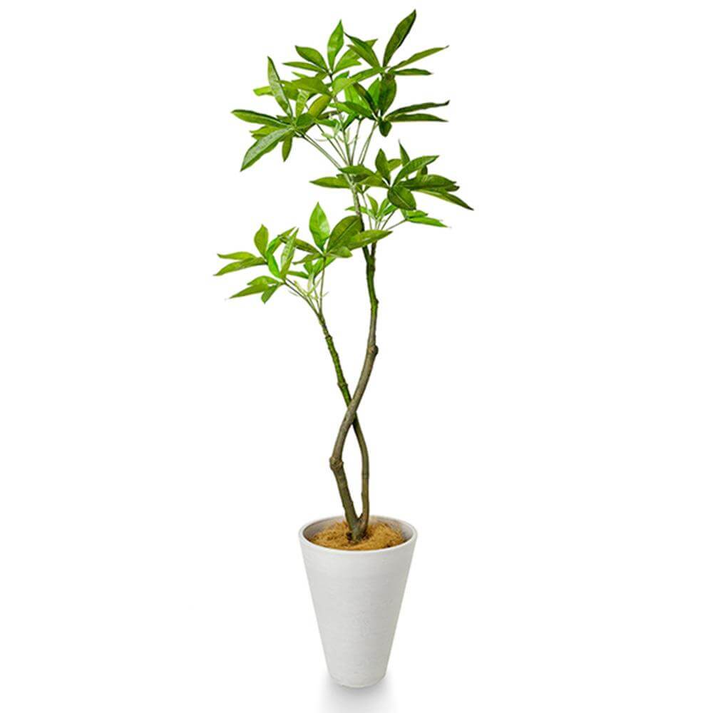 パキラ 高さ145cm (フェイクグリーン 人工観葉植物 オフィスグリーン