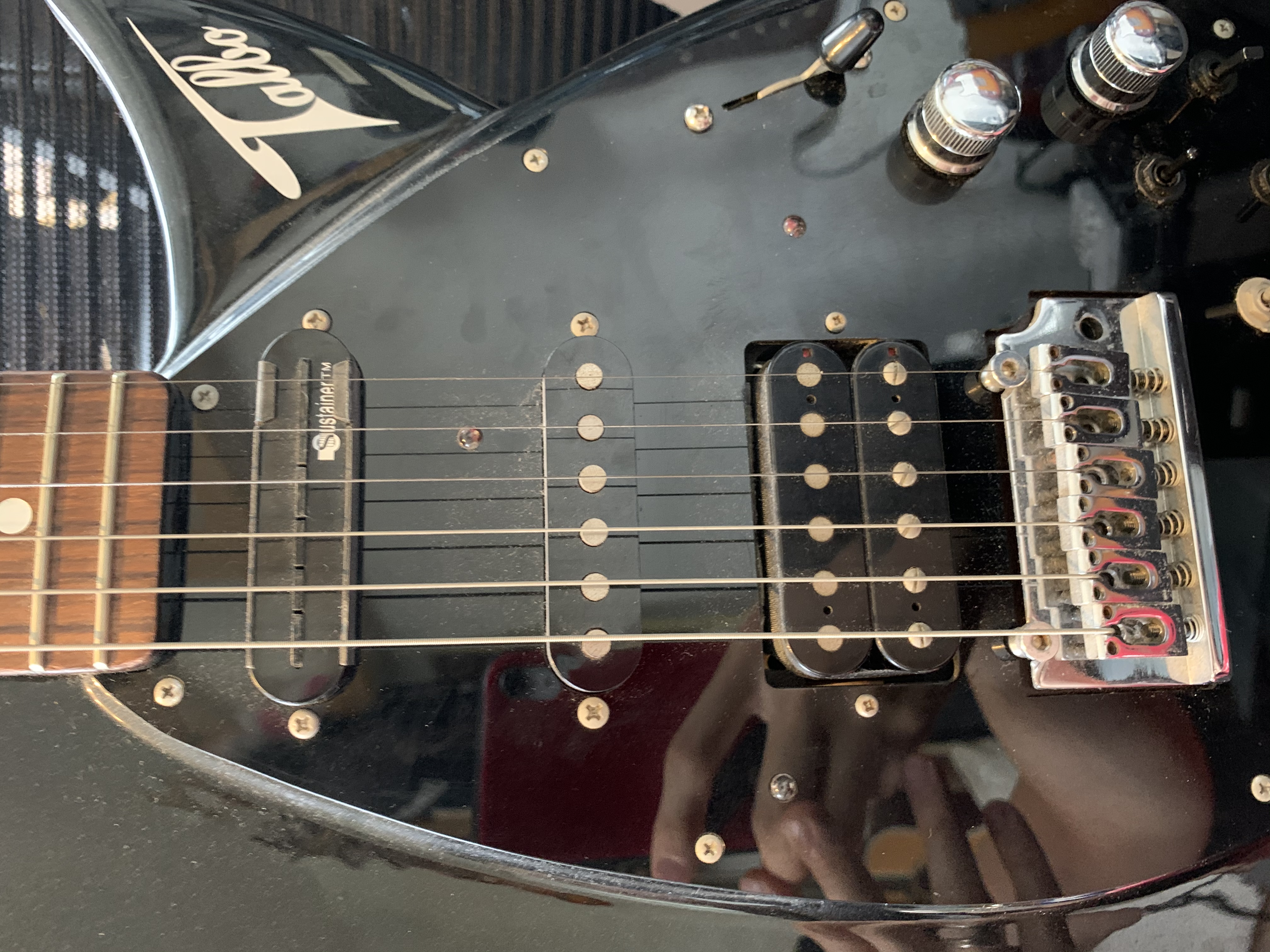 機材紹介①】Tokai Talbo編【Tokai Talbo知ってんのか