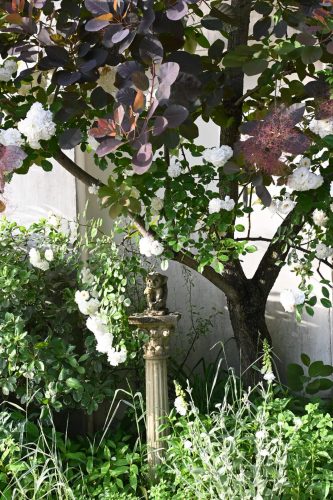 プロスペリティとスモークツリー - GARDENS（ガーデンズ） | 香川県