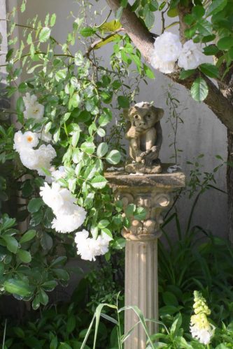 プロスペリティとスモークツリー - GARDENS（ガーデンズ） | 香川県