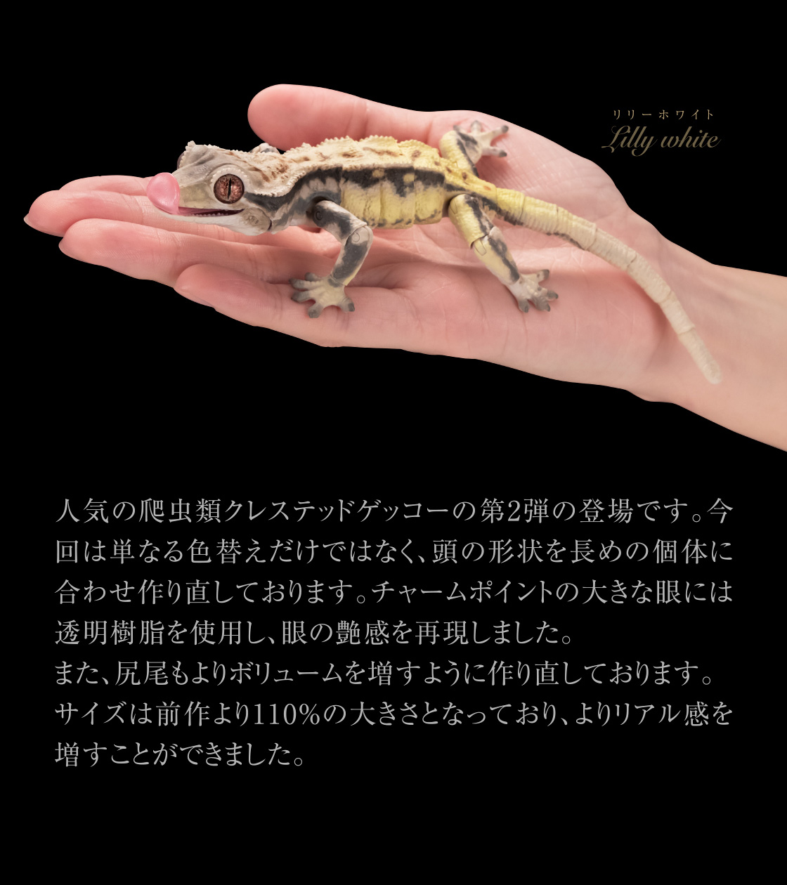 いきもの大図鑑アドバンス クレステッドゲッコー02｜いきもの大図鑑