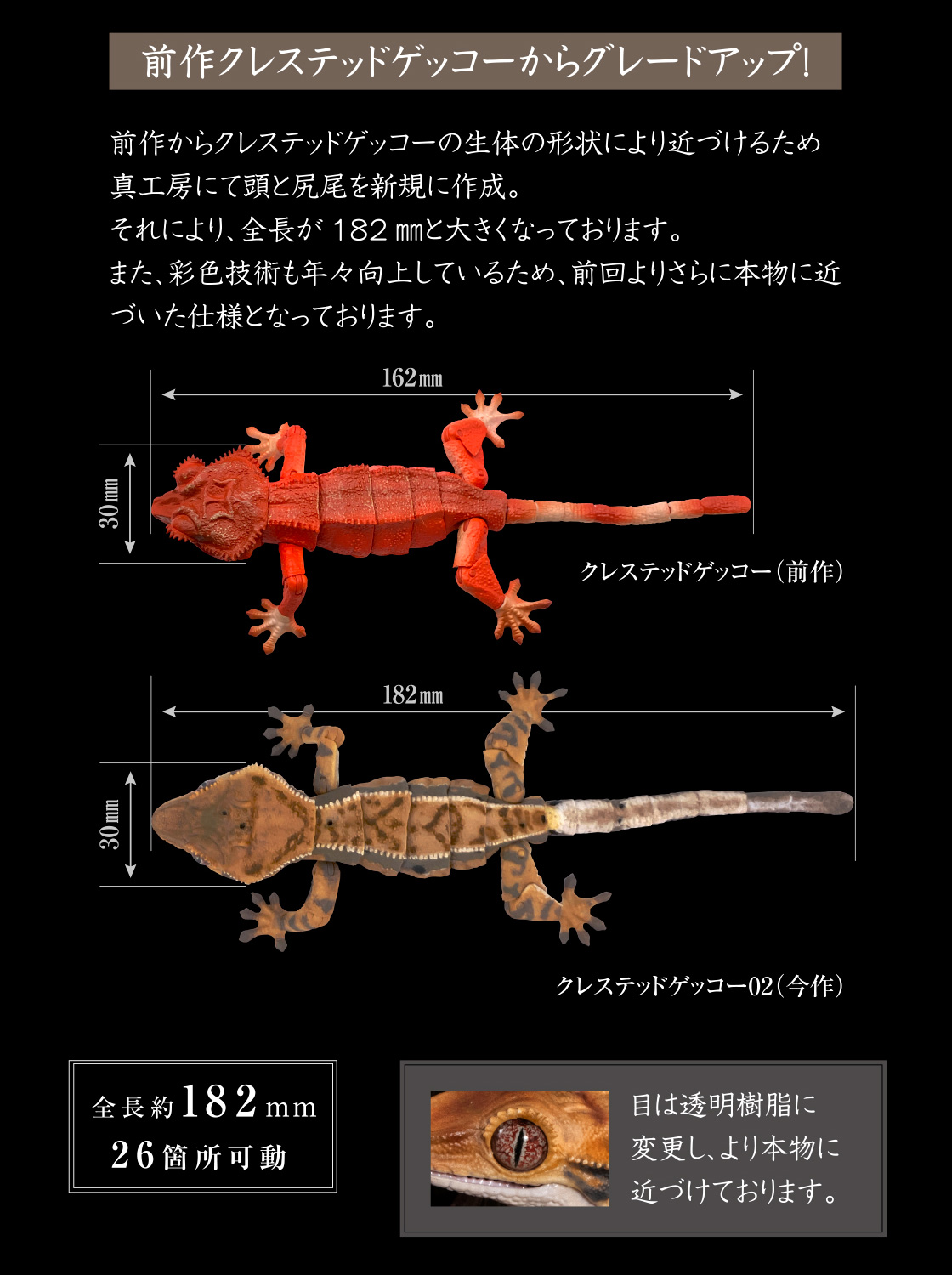 いきもの大図鑑アドバンス クレステッドゲッコー02｜いきもの大図鑑