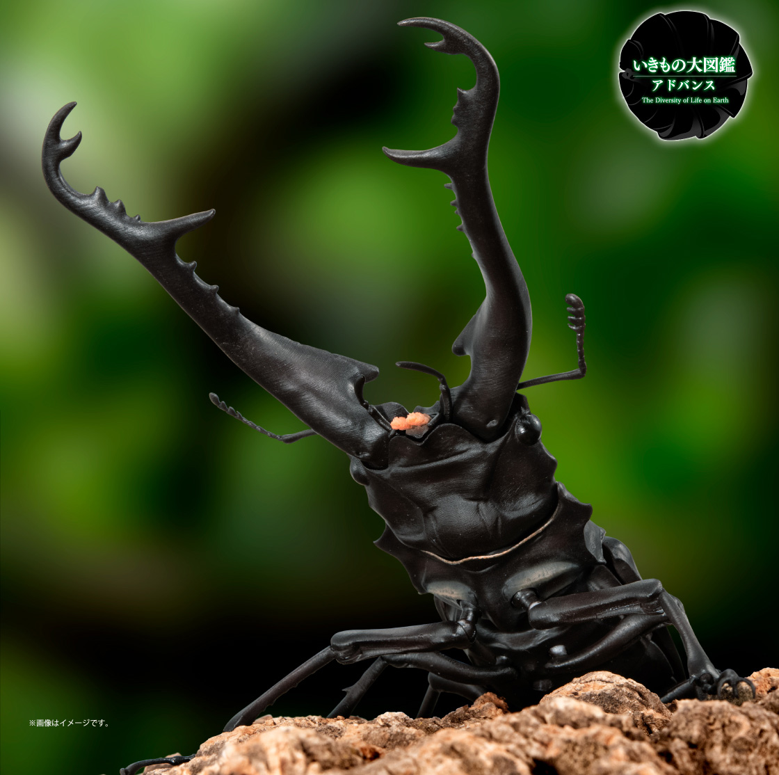 いきもの大図鑑アドバンス ギラファノコギリクワガタと