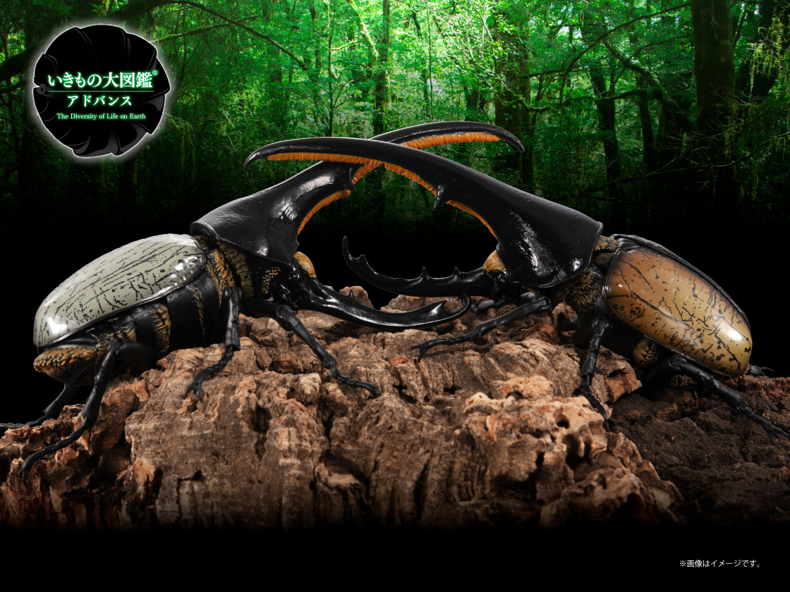 いきもの大図鑑アドバンス ヘラクレスオオカブト｜いきもの大図鑑