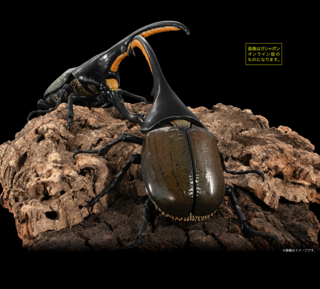 いきもの大図鑑アドバンス ヘラクレスオオカブト｜いきもの大図鑑