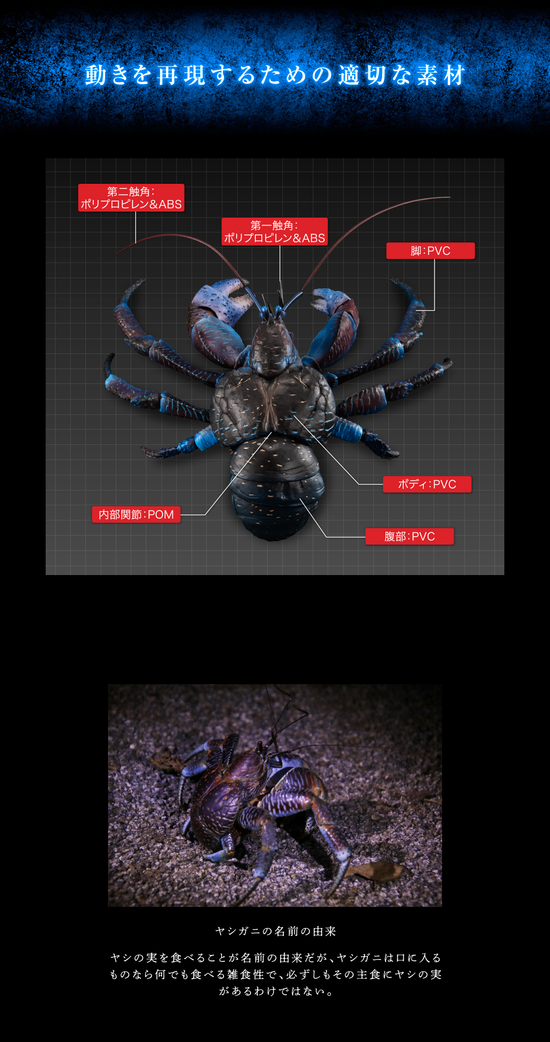 いきもの大図鑑プレミアム ヤシガニ｜いきもの大図鑑｜ガシャポン