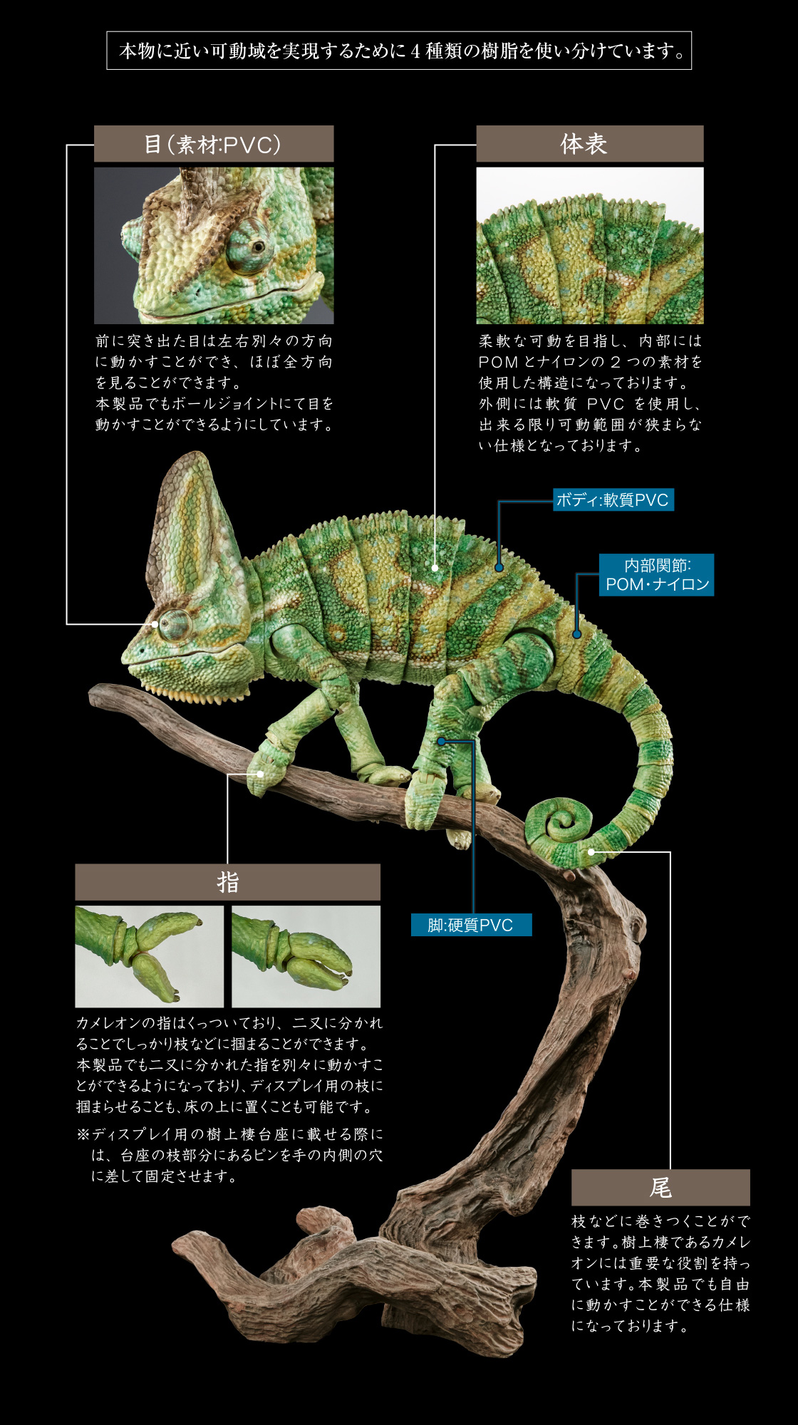 いきもの大図鑑プレミアム エボシカメレオン｜いきもの大図鑑
