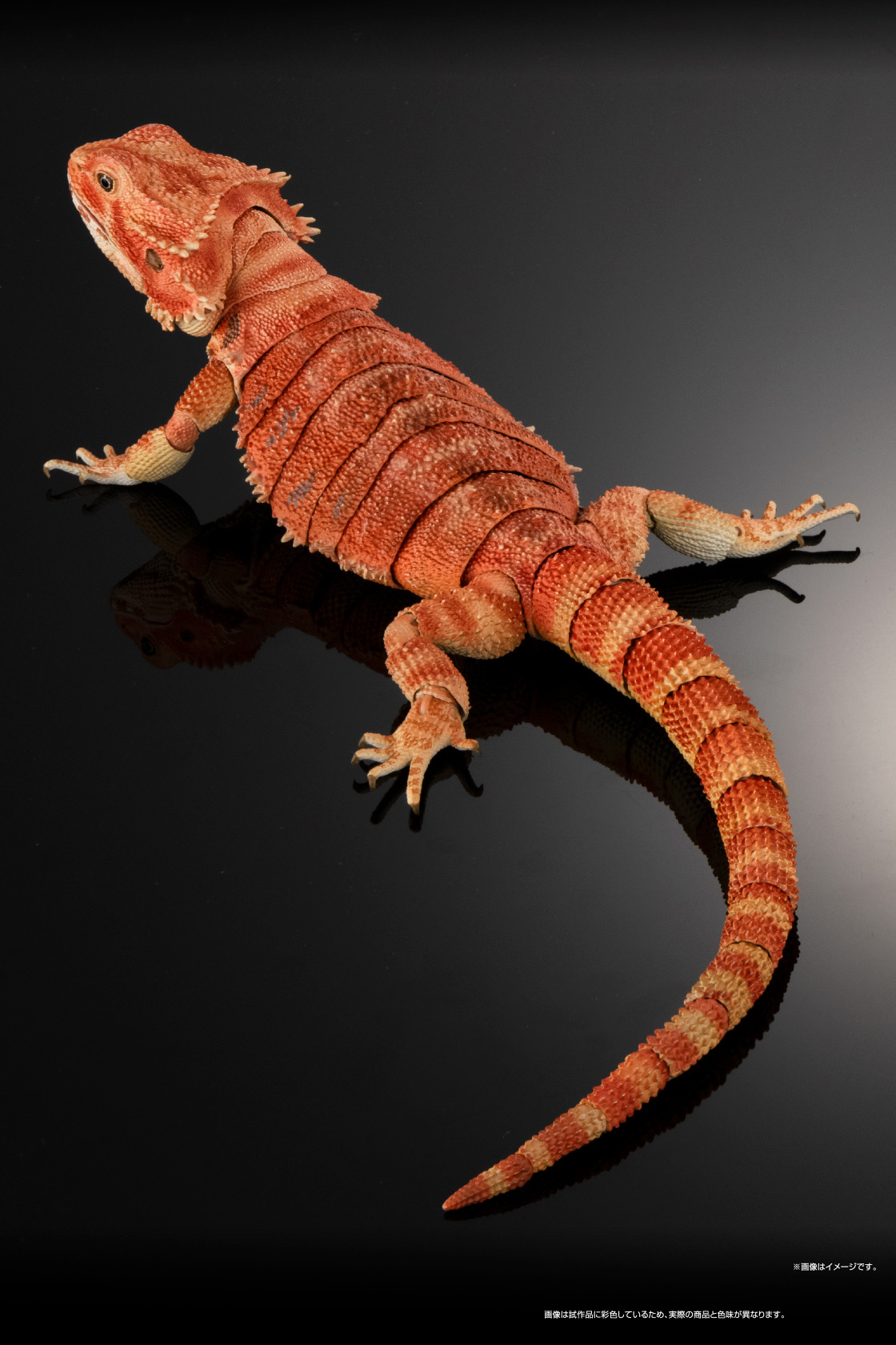 いきもの大図鑑プレミアム フトアゴヒゲトカゲ｜いきもの大図鑑