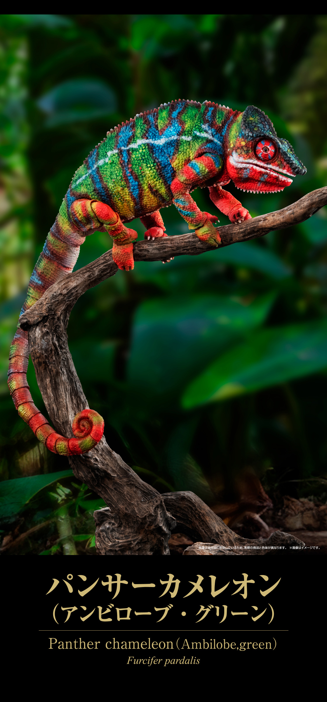 いきもの大図鑑プレミアム パンサーカメレオン｜いきもの大図鑑