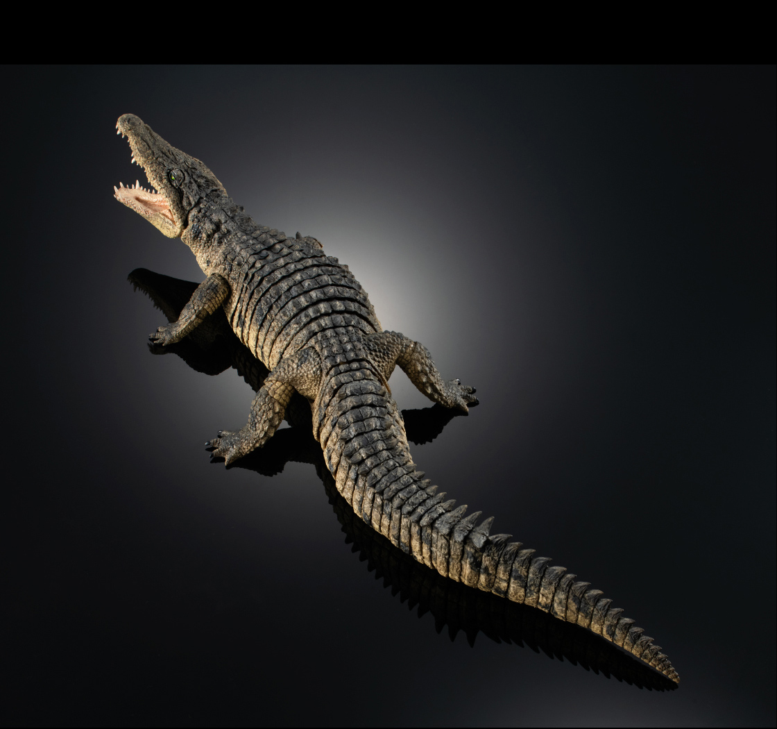 いきもの大図鑑 アルティメット ナイルワニ｜いきもの大図鑑