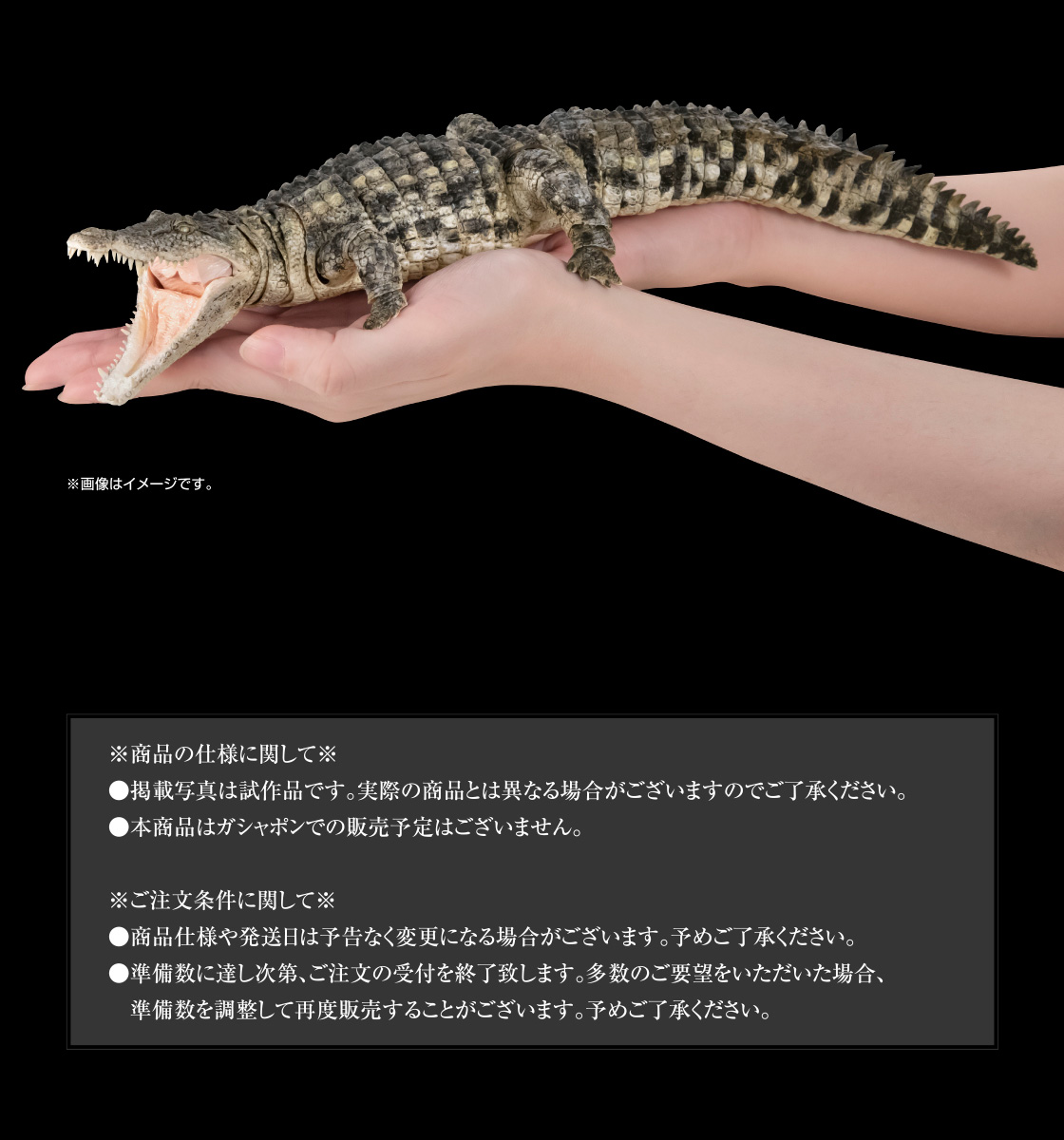 いきもの大図鑑 アルティメット ナイルワニ（ライトカラー）｜いきもの