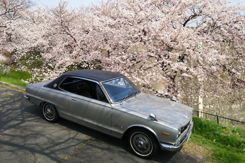 ハコスカとの出会いは突発的だった」前オーナーの思いを節々に感じる