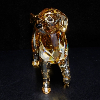 ジェムラインジャパン - 公式サイト - / SWAROVSKI スワロフスキー