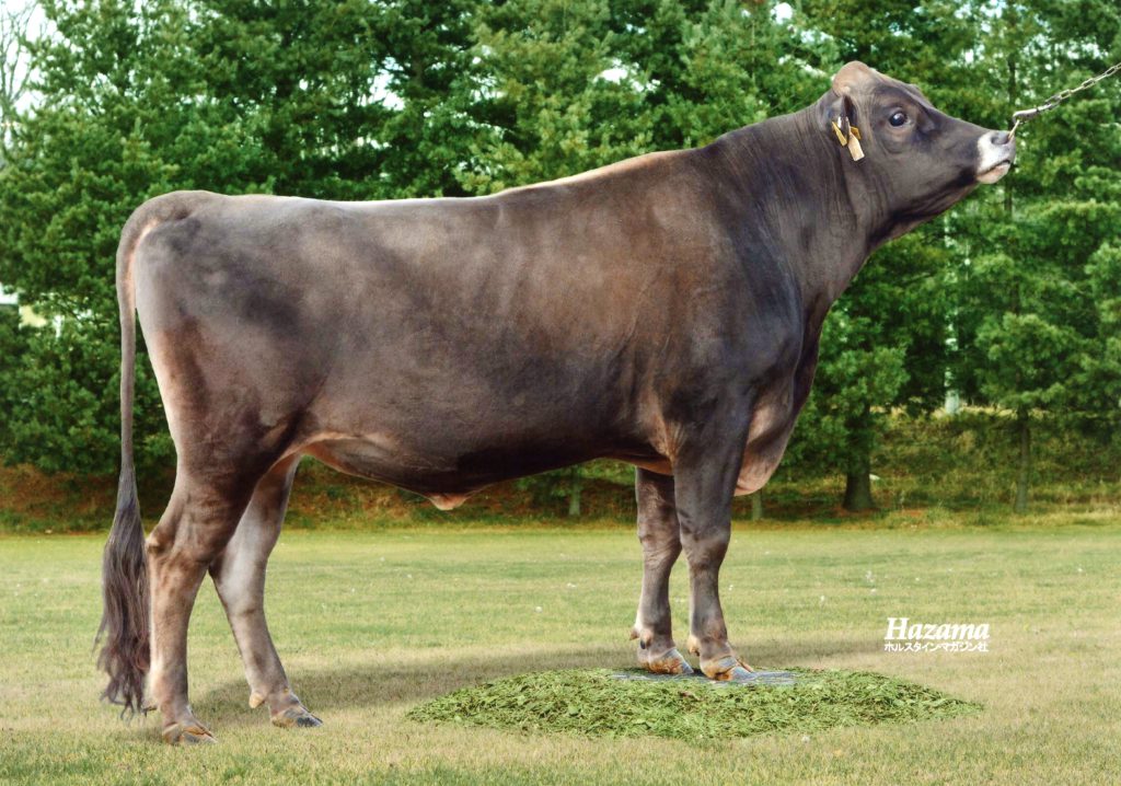 2023年2月 新規カラーブリード紹介 | GH-CONTENT