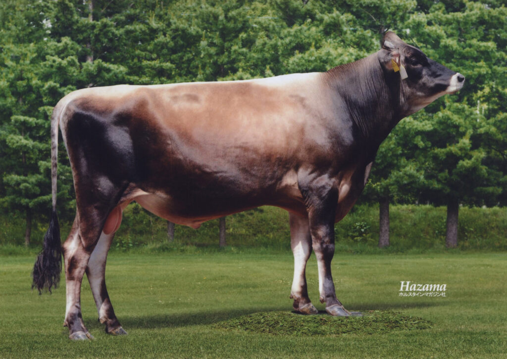 2024年8月 新規ジャージー種紹介 | GH-CONTENT