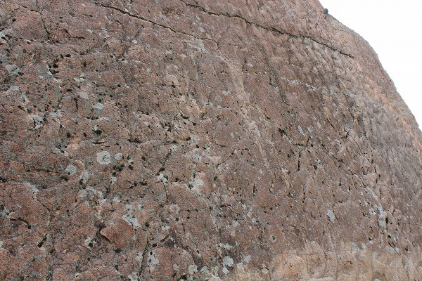 宍喰浦の化石漣痕