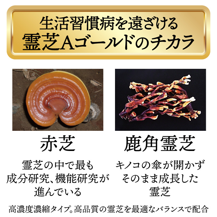 霊芝 ゴールド | ゲオール化粧品