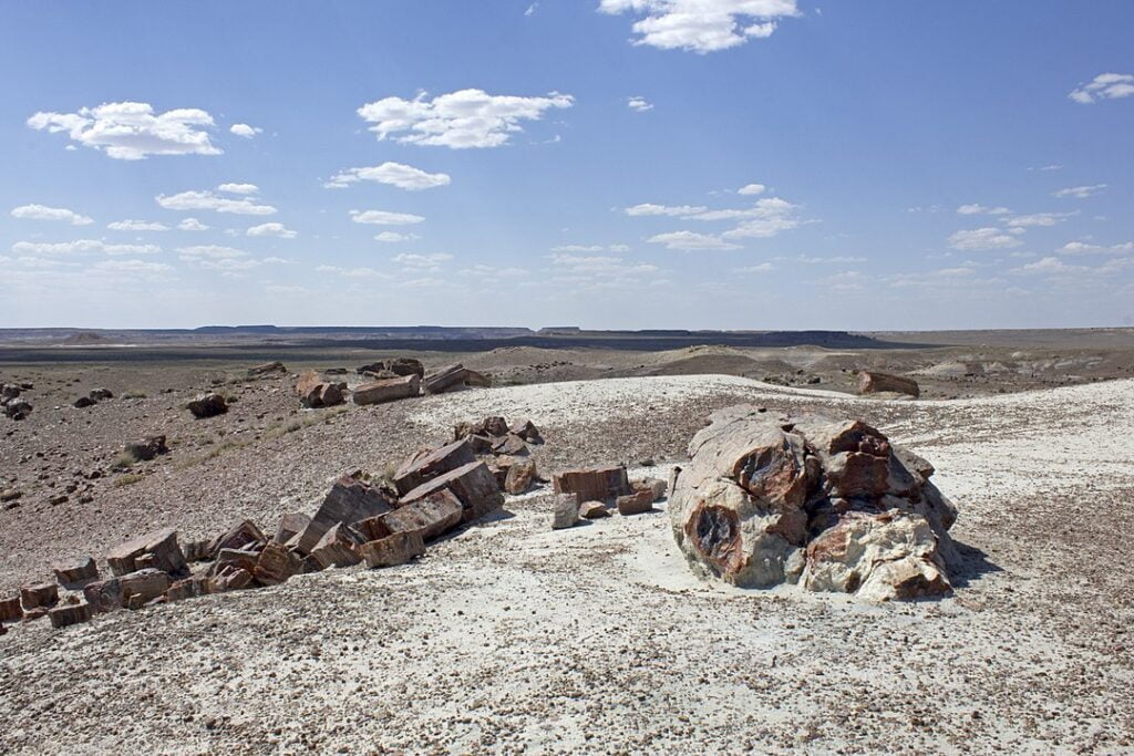 The Petrified Forest National Park in Arizona - GeoRarities