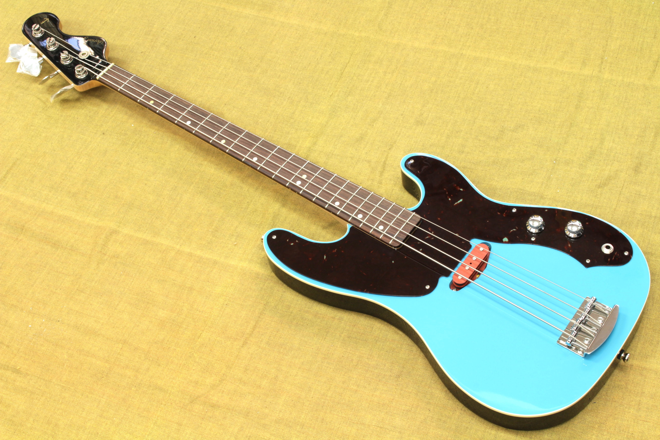 Dorian James Guitars - Geek IN Box