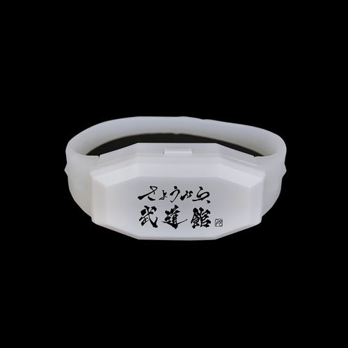 さようなら、武道館 | Gero 日本武道館公演