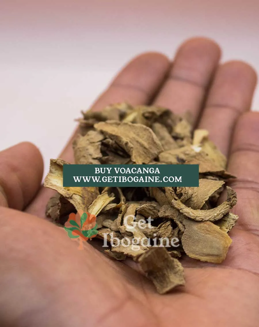 Voacanga Africana の種子を購入して健康効果を得ましょう