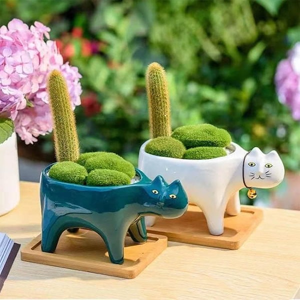 Qoo10] プランター 寄せ植え ホーム おしゃれ