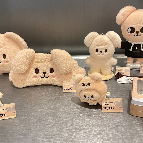 Qoo10] JYP Entertainment 【国内発送】Stray Kids Wor