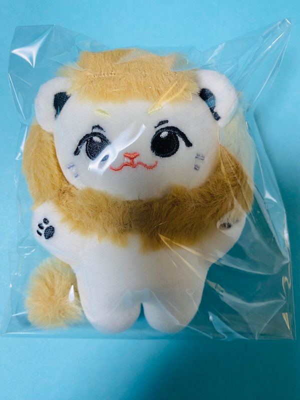 Qoo10] NCT127 NCT DREAM ぬい