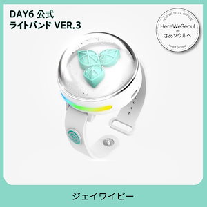 day6 ライトバンド