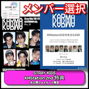 straykids KARMA kmstation