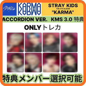 stray kids kms