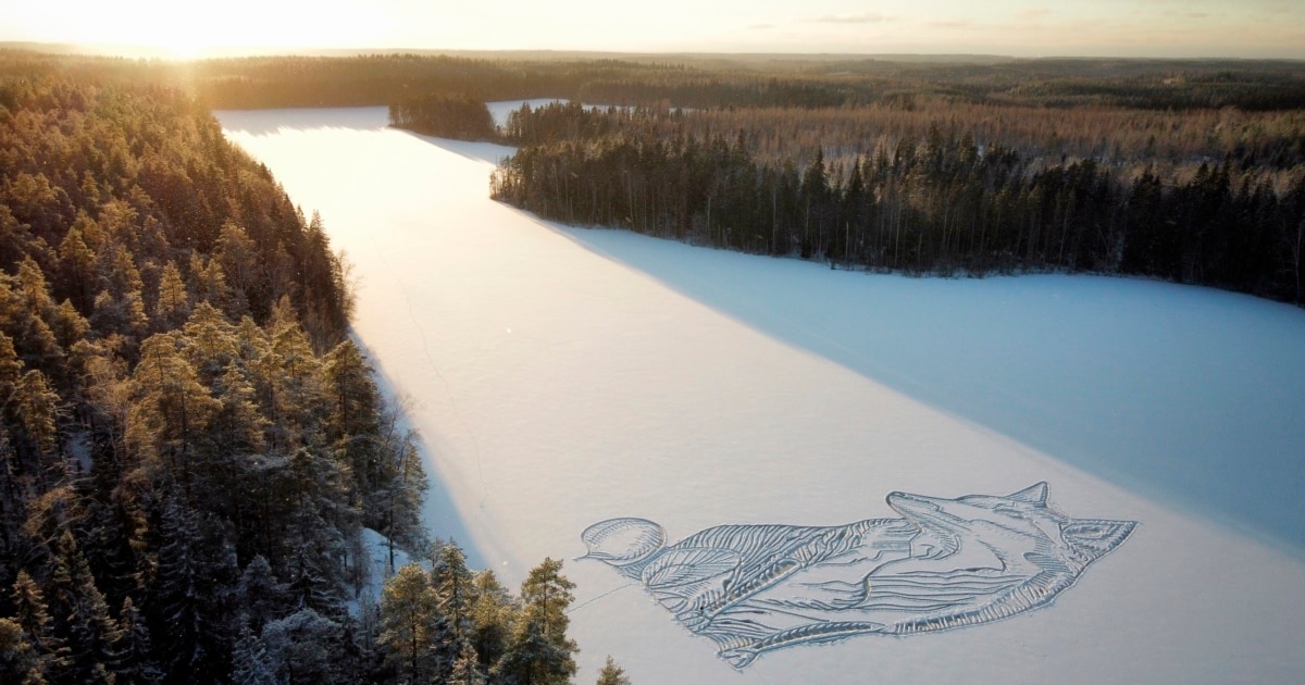 1d55b707-9ec9-49db-b773-