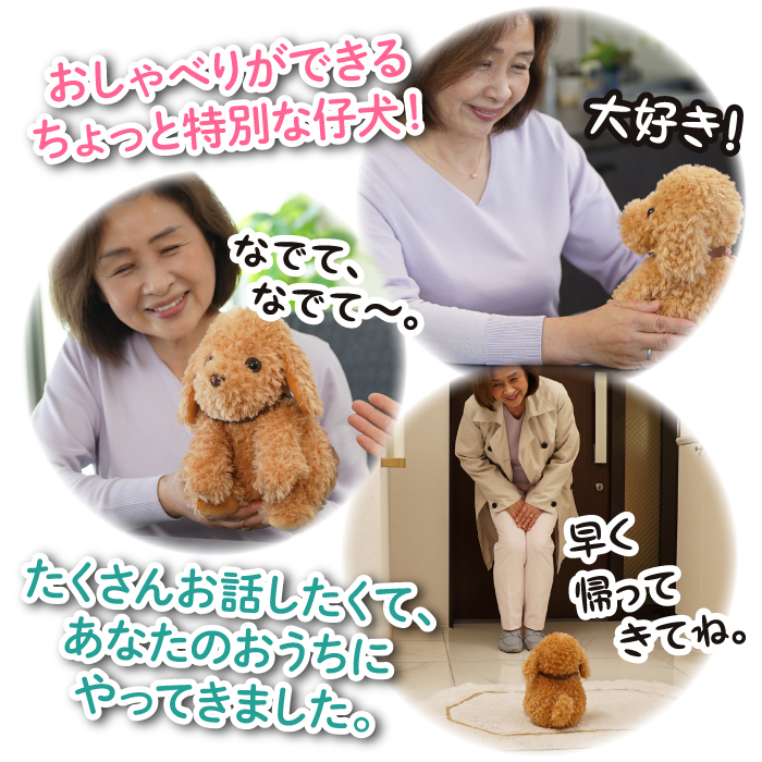 おしゃべりトイプードル│身近な優れものショップ