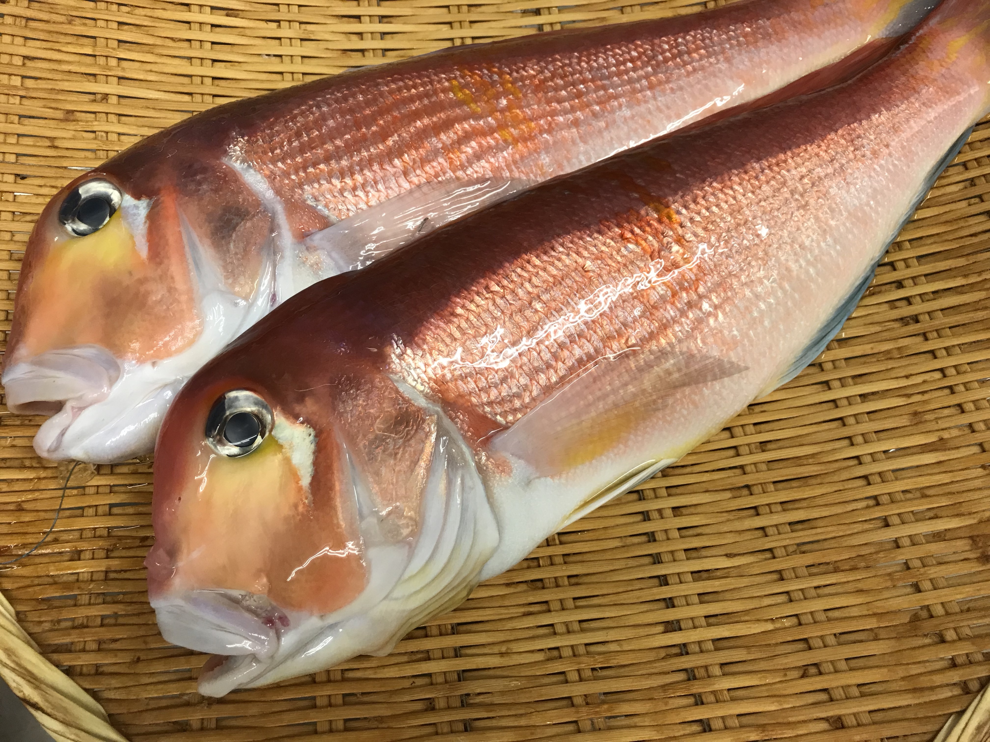 銀座渡利】甘鯛の食べ方（鱗ごと食べる松笠揚げ・松笠焼きとは？）