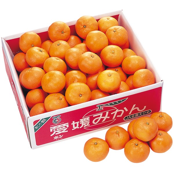 愛媛県産 宇和島みかん「味楽の赤箱」[yd70] - SEIYUドットコム ギフト館