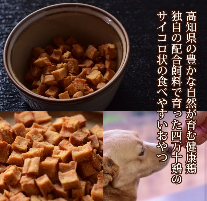 犬用ジャーキーセット｜お肉のうまみ 無添加おやつセット