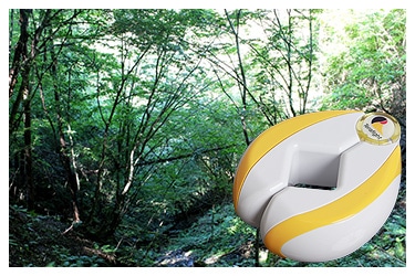 テラファイト卑弥呼 ゴールド｜トータルヘルスデザイン公式ショップWEB本店