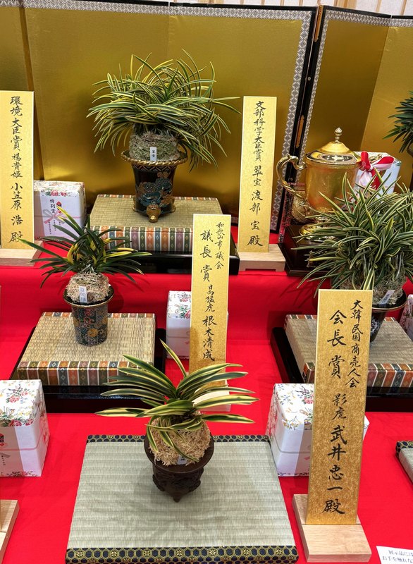 春蘭・富貴蘭WEB通販 三香園 | 富貴蘭全国大会