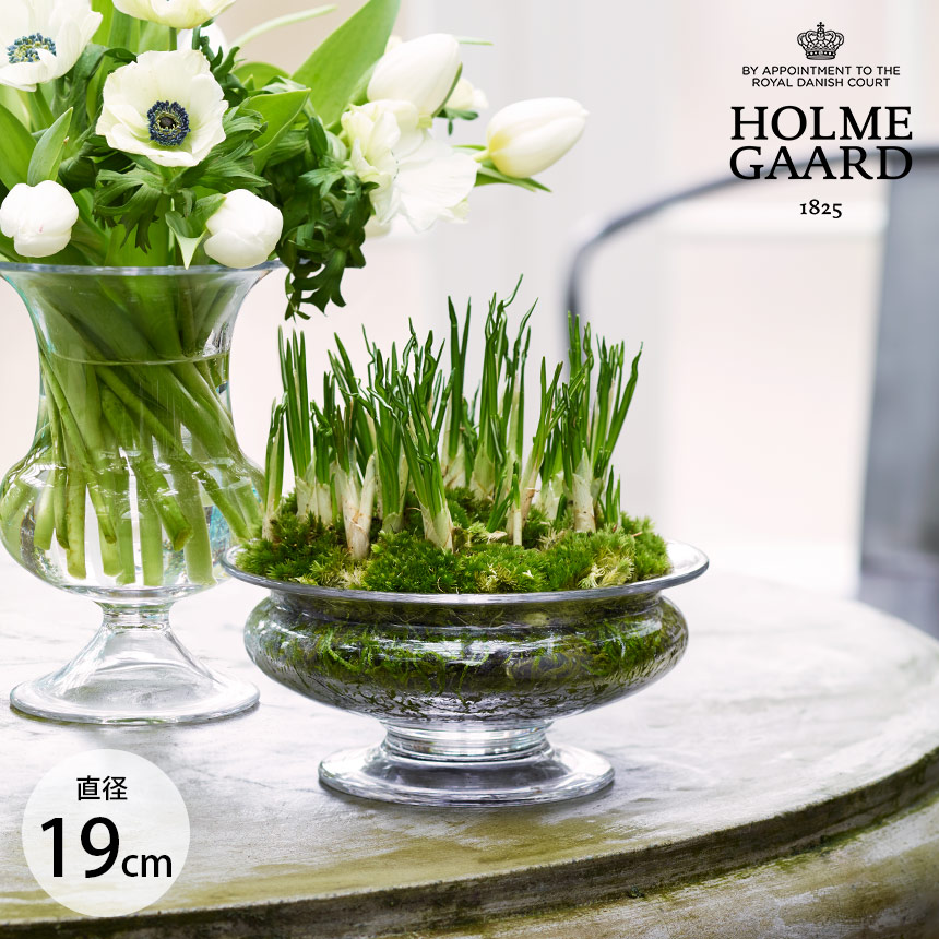 ガラス花瓶 水耕栽培 ホルムガード Old English フラワーボウル 直径
