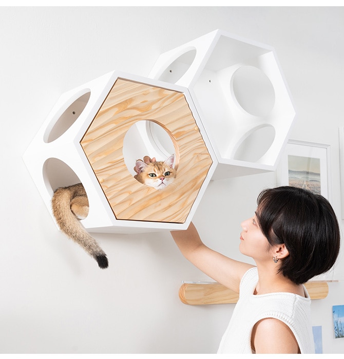 MYZOO マイズー Busy Cat専用 COVER WAVE カバーウェーブ | 商品種別