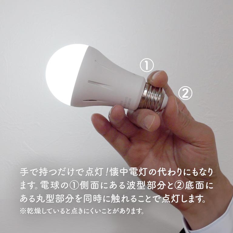 停電でも消えない電球 いつでもランプ tsuita ツイタ 4個セット 【通常