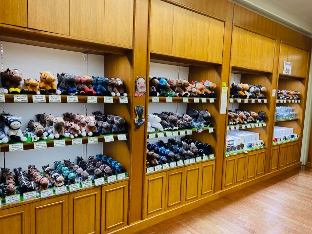 ターフィー通販クラブ