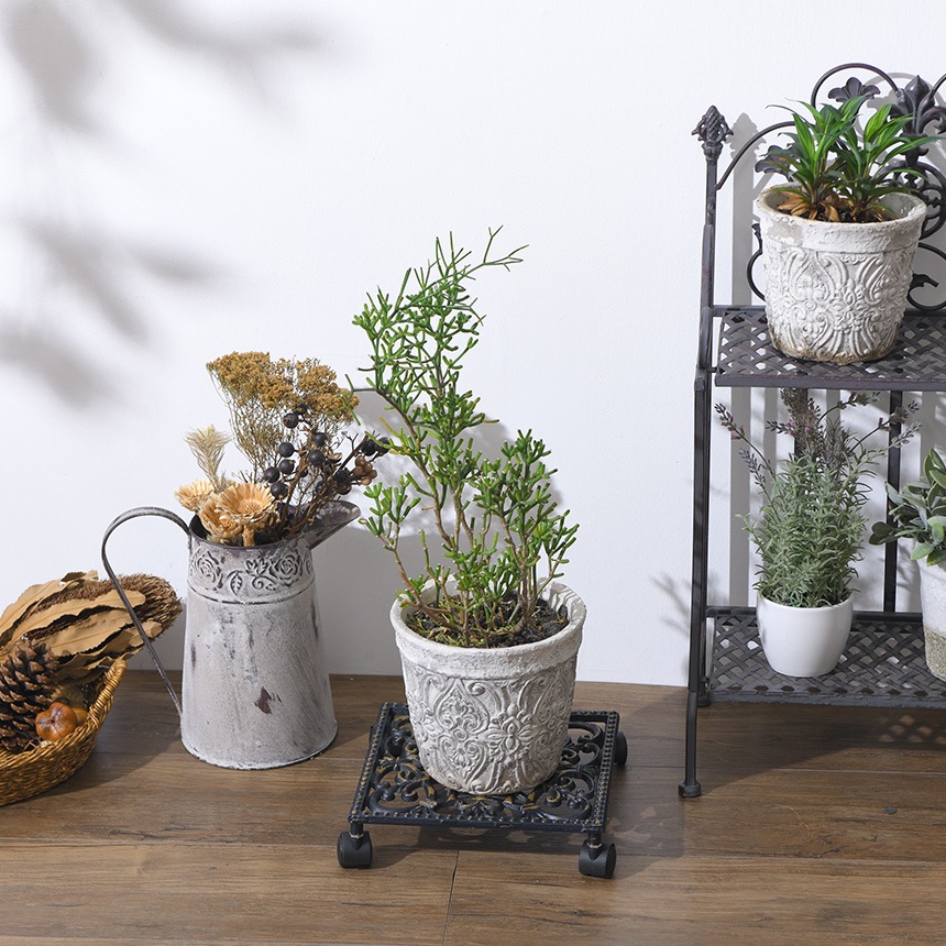 花台 キャスター付き プラントキャリー スクエア 24cm キャスター