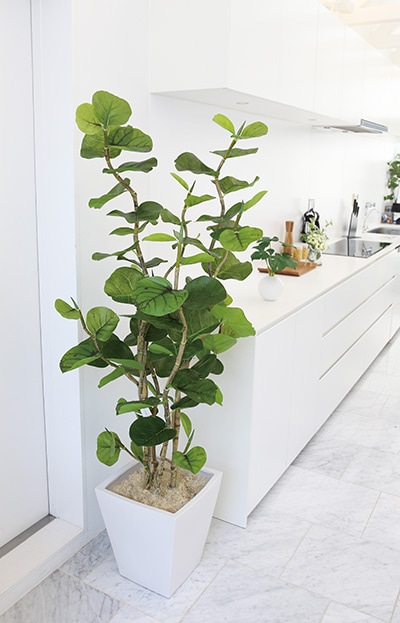 フェイクグリーン シーグレープ1600｜フェイクグリーン・人工植物 専門