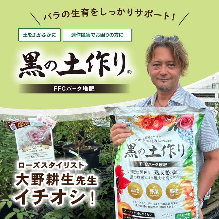 バラ大苗 シャリマー 7号 ロサ・オリエンティスプログレッシオ｜花木04