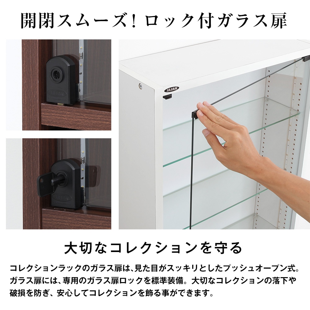 コレクションラック レギュラー ロータイプ 幅55cm×奥行19cm