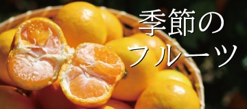 国産ベルガモット 和歌山県和歌山 観音山フルーツガーデン 【公式通販】