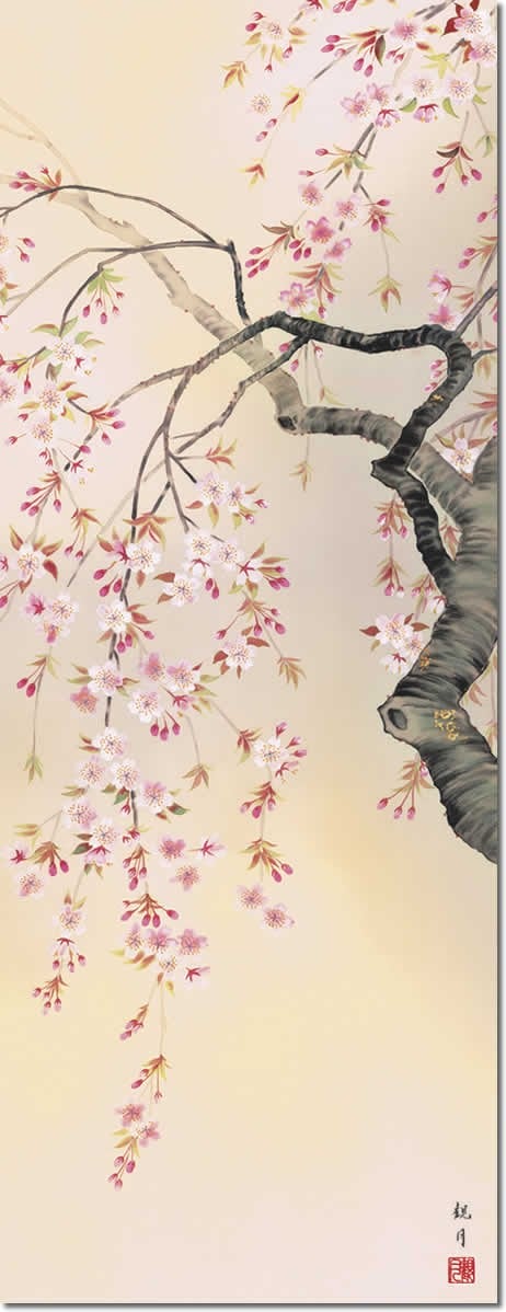 掛け軸 掛軸 桜 森山観月・桜花爛漫 尺五 花鳥画 春 桐箱 風鎮付き