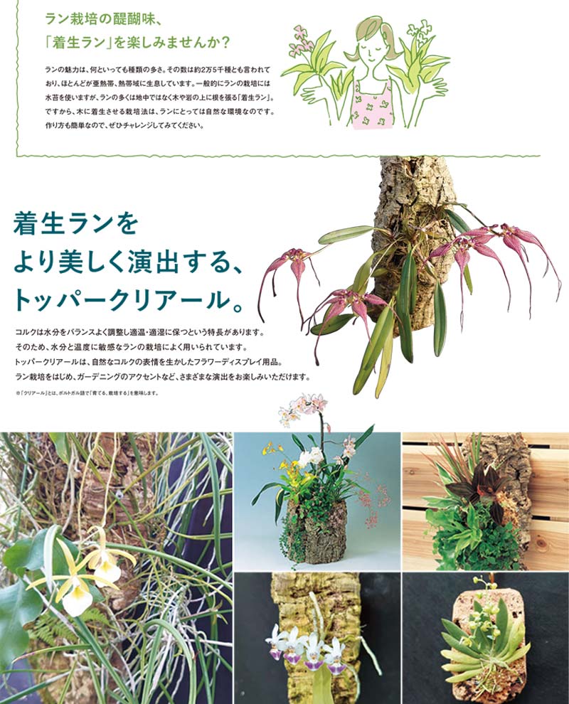 園芸用コルク トッパークリアール バージンコルクプランター 観葉植物